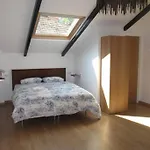 Malaga-Vacation